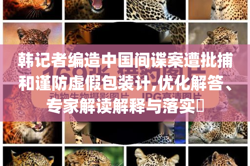 韓記者編造中國間諜案遭批捕和謹(jǐn)防虛假包裝計(jì),優(yōu)化解答、專家解讀解釋與落實(shí)?