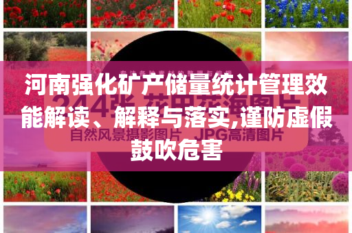 河南強(qiáng)化礦產(chǎn)儲(chǔ)量統(tǒng)計(jì)管理效能解讀、解釋與落實(shí),謹(jǐn)防虛假鼓吹危害