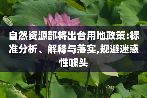 自然資源部將出臺(tái)用地政策:標(biāo)準(zhǔn)分析、解釋與落實(shí),規(guī)避迷惑性噱頭