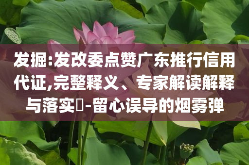 發(fā)掘:發(fā)改委點贊廣東推行信用代證,完整釋義、專家解讀解釋與落實?-留心誤導的煙霧彈