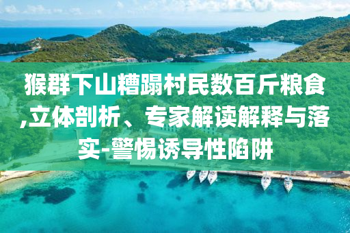 猴群下山糟蹋村民數(shù)百斤糧食,立體剖析、專(zhuān)家解讀解釋與落實(shí)-警惕誘導(dǎo)性陷阱