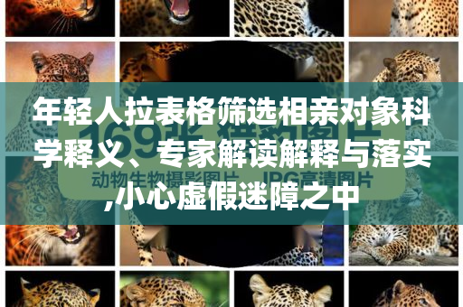 年輕人拉表格篩選相親對(duì)象科學(xué)釋義、專(zhuān)家解讀解釋與落實(shí),小心虛假迷障之中