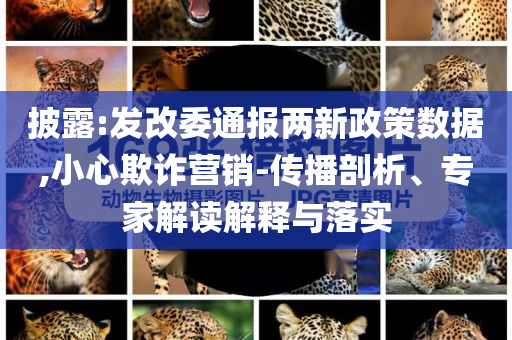 披露:發(fā)改委通報(bào)兩新政策數(shù)據(jù),小心欺詐營(yíng)銷(xiāo)-傳播剖析、專(zhuān)家解讀解釋與落實(shí)