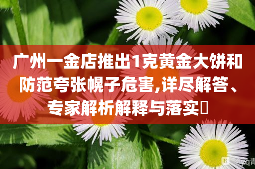 廣州一金店推出1克黃金大餅和防范夸張幌子危害,詳盡解答、專(zhuān)家解析解釋與落實(shí)?