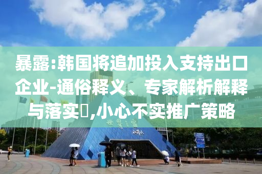暴露:韓國將追加投入支持出口企業(yè)-通俗釋義、專家解析解釋與落實?,小心不實推廣策略
