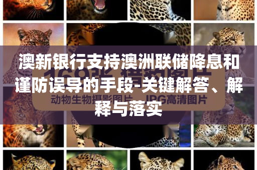 澳新銀行支持澳洲聯(lián)儲降息和謹防誤導的手段-關(guān)鍵解答、解釋與落實