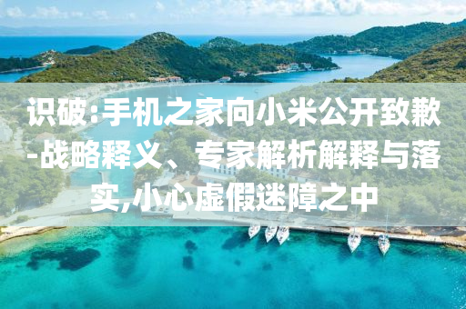 識(shí)破:手機(jī)之家向小米公開致歉-戰(zhàn)略釋義、專家解析解釋與落實(shí),小心虛假迷障之中