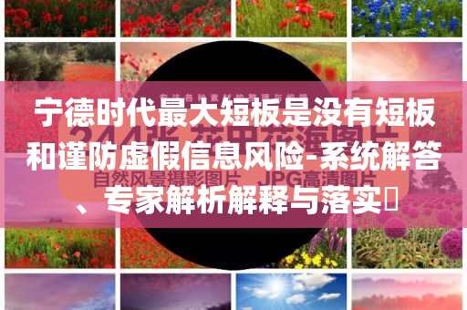 寧德時(shí)代最大短板是沒有短板和謹(jǐn)防虛假信息風(fēng)險(xiǎn)-系統(tǒng)解答、專家解析解釋與落實(shí)?