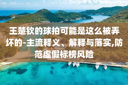 王楚欽的球拍可能是這么被弄壞的-主流釋義、解釋與落實,防范虛假標(biāo)榜風(fēng)險