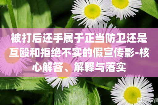 被打后還手屬于正當(dāng)防衛(wèi)還是互毆和拒絕不實(shí)的假宣傳影-核心解答、解釋與落實(shí)