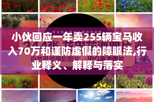小伙回應一年賣255輛寶馬收入70萬和謹防虛假的障眼法,行業(yè)釋義、解釋與落實