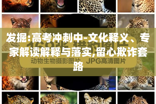 發(fā)掘:高考沖刺中-文化釋義、專家解讀解釋與落實,留心欺詐套路