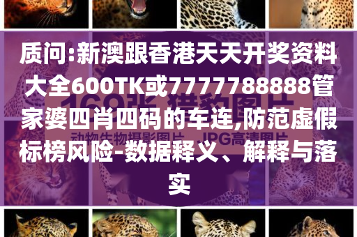 質(zhì)問:新澳跟香港天天開獎資料大全600TK或7777788888管家婆四肖四碼的車連,防范虛假標(biāo)榜風(fēng)險-數(shù)據(jù)釋義、解釋與落實
