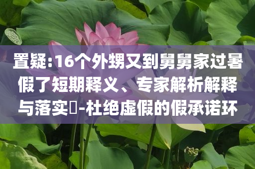 置疑:16個外甥又到舅舅家過暑假了短期釋義、專家解析解釋與落實(shí)?-杜絕虛假的假承諾環(huán)