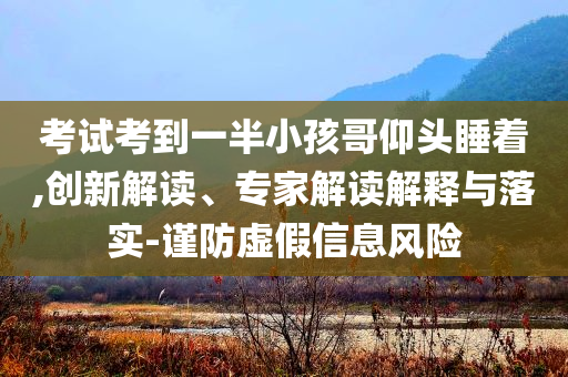 考試考到一半小孩哥仰頭睡著,創(chuàng)新解讀、專家解讀解釋與落實(shí)-謹(jǐn)防虛假信息風(fēng)險(xiǎn)