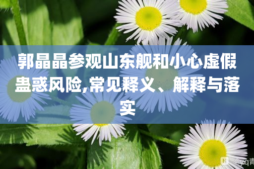 郭晶晶參觀山東艦和小心虛假蠱惑風(fēng)險(xiǎn),常見釋義、解釋與落實(shí)