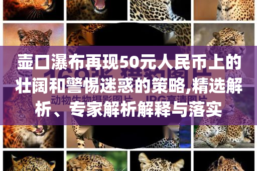 壺口瀑布再現(xiàn)50元人民幣上的壯闊和警惕迷惑的策略,精選解析、專家解析解釋與落實