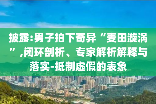 披露:男子拍下奇異“麥田漩渦”,閉環(huán)剖析、專家解析解釋與落實-抵制虛假的表象