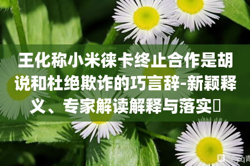 王化稱小米徠卡終止合作是胡說和杜絕欺詐的巧言辭-新穎釋義、專家解讀解釋與落實(shí)?