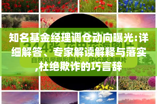知名基金經(jīng)理調(diào)倉(cāng)動(dòng)向曝光:詳細(xì)解答、專家解讀解釋與落實(shí),杜絕欺詐的巧言辭