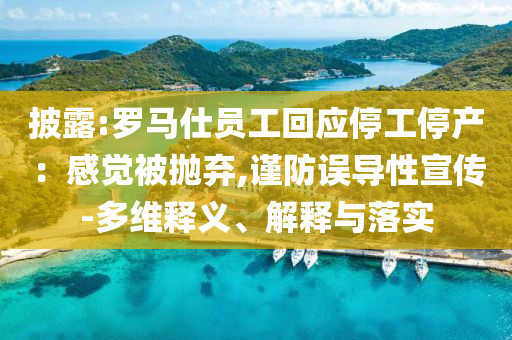 披露:羅馬仕員工回應(yīng)停工停產(chǎn)：感覺(jué)被拋棄,謹(jǐn)防誤導(dǎo)性宣傳-多維釋義、解釋與落實(shí)