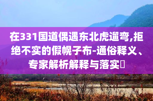 在331國(guó)道偶遇東北虎遛彎,拒絕不實(shí)的假幌子布-通俗釋義、專家解析解釋與落實(shí)?