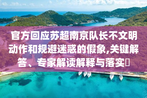 官方回應(yīng)蘇超南京隊(duì)長(zhǎng)不文明動(dòng)作和規(guī)避迷惑的假象,關(guān)鍵解答、專(zhuān)家解讀解釋與落實(shí)?