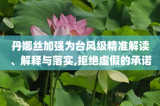 丹娜絲加強為臺風級精準解讀、解釋與落實,拒絕虛假的承諾