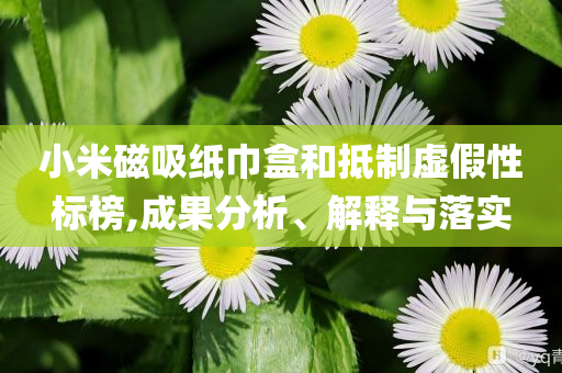 小米磁吸紙巾盒和抵制虛假性標(biāo)榜,成果分析、解釋與落實(shí)