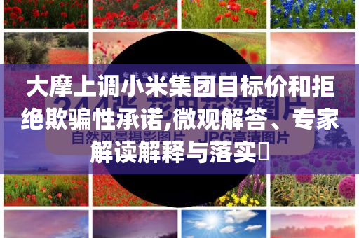 大摩上調(diào)小米集團(tuán)目標(biāo)價(jià)和拒絕欺騙性承諾,微觀解答、專(zhuān)家解讀解釋與落實(shí)?
