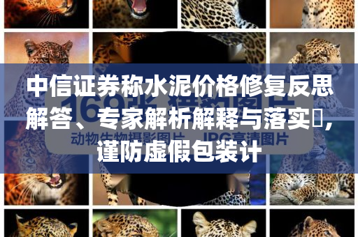 中信證券稱水泥價(jià)格修復(fù)反思解答、專家解析解釋與落實(shí)?,謹(jǐn)防虛假包裝計(jì)