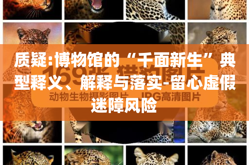 質(zhì)疑:博物館的“千面新生”典型釋義、解釋與落實(shí)-留心虛假迷障風(fēng)險(xiǎn)