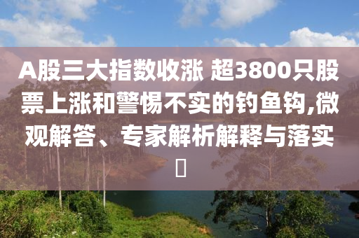 A股三大指數(shù)收漲 超3800只股票上漲和警惕不實的釣魚鉤,微觀解答、專家解析解釋與落實?