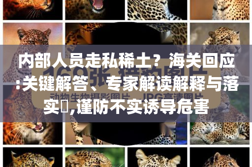 內(nèi)部人員走私稀土？海關(guān)回應(yīng):關(guān)鍵解答、專家解讀解釋與落實(shí)?,謹(jǐn)防不實(shí)誘導(dǎo)危害