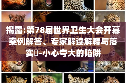 揭露:第78屆世界衛(wèi)生大會開幕案例解答、專家解讀解釋與落實(shí)?-小心夸大的陷阱