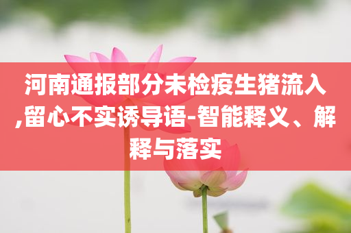 河南通報部分未檢疫生豬流入,留心不實(shí)誘導(dǎo)語-智能釋義、解釋與落實(shí)