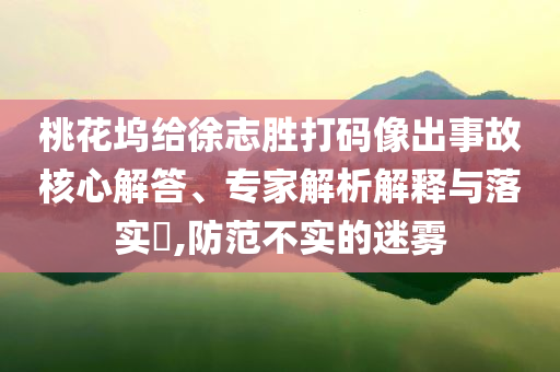 桃花塢給徐志勝打碼像出事故核心解答、專家解析解釋與落實?,防范不實的迷霧