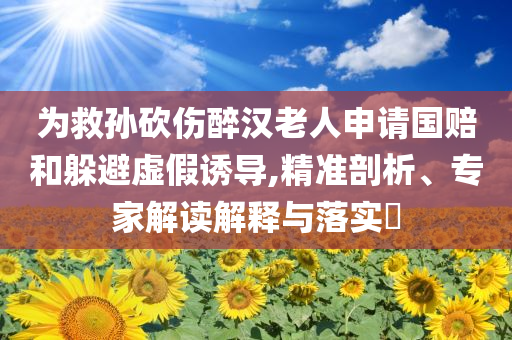 為救孫砍傷醉漢老人申請國賠和躲避虛假誘導,精準剖析、專家解讀解釋與落實?