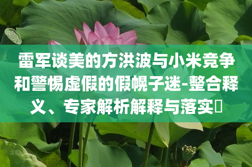 雷軍談美的方洪波與小米競爭和警惕虛假的假幌子迷-整合釋義、專家解析解釋與落實?