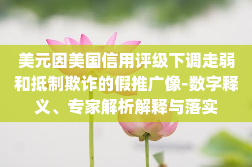 美元因美國(guó)信用評(píng)級(jí)下調(diào)走弱和抵制欺詐的假推廣像-數(shù)字釋義、專家解析解釋與落實(shí)