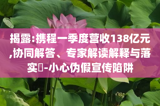 揭露:攜程一季度營(yíng)收138億元,協(xié)同解答、專家解讀解釋與落實(shí)?-小心偽假宣傳陷阱