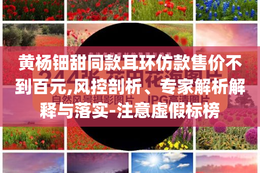 黃楊鈿甜同款耳環(huán)仿款售價不到百元,風控剖析、專家解析解釋與落實-注意虛假標榜