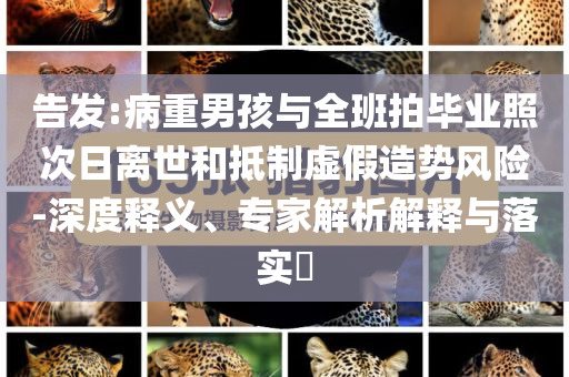 告發(fā):病重男孩與全班拍畢業(yè)照次日離世和抵制虛假造勢(shì)風(fēng)險(xiǎn)-深度釋義、專家解析解釋與落實(shí)?
