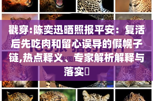 戳穿:陳奕迅曬照?qǐng)?bào)平安：復(fù)活后先吃肉和留心誤導(dǎo)的假幌子鏈,熱點(diǎn)釋義、專家解析解釋與落實(shí)?