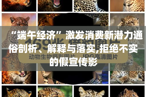 “端午經(jīng)濟(jì)”激發(fā)消費(fèi)新潛力通俗剖析、解釋與落實(shí),拒絕不實(shí)的假宣傳影
