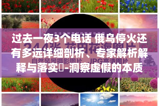 過去一夜3個電話 俄烏停火還有多遠詳細剖析、專家解析解釋與落實?-洞察虛假的本質(zhì)