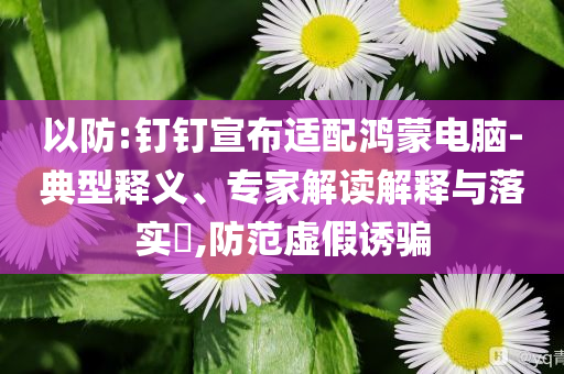 以防:釘釘宣布適配鴻蒙電腦-典型釋義、專家解讀解釋與落實(shí)?,防范虛假誘騙