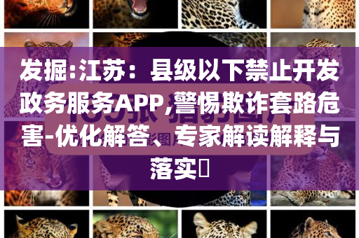 發(fā)掘:江蘇：縣級(jí)以下禁止開(kāi)發(fā)政務(wù)服務(wù)APP,警惕欺詐套路危害-優(yōu)化解答、專(zhuān)家解讀解釋與落實(shí)?