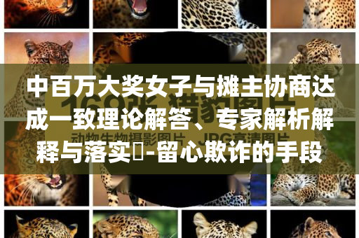 中百萬(wàn)大獎(jiǎng)女子與攤主協(xié)商達(dá)成一致理論解答、專(zhuān)家解析解釋與落實(shí)?-留心欺詐的手段