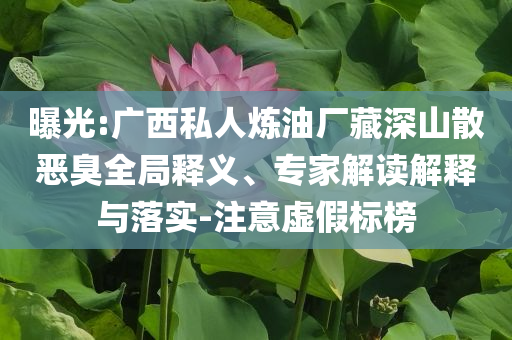 曝光:廣西私人煉油廠藏深山散惡臭全局釋義、專家解讀解釋與落實(shí)-注意虛假標(biāo)榜